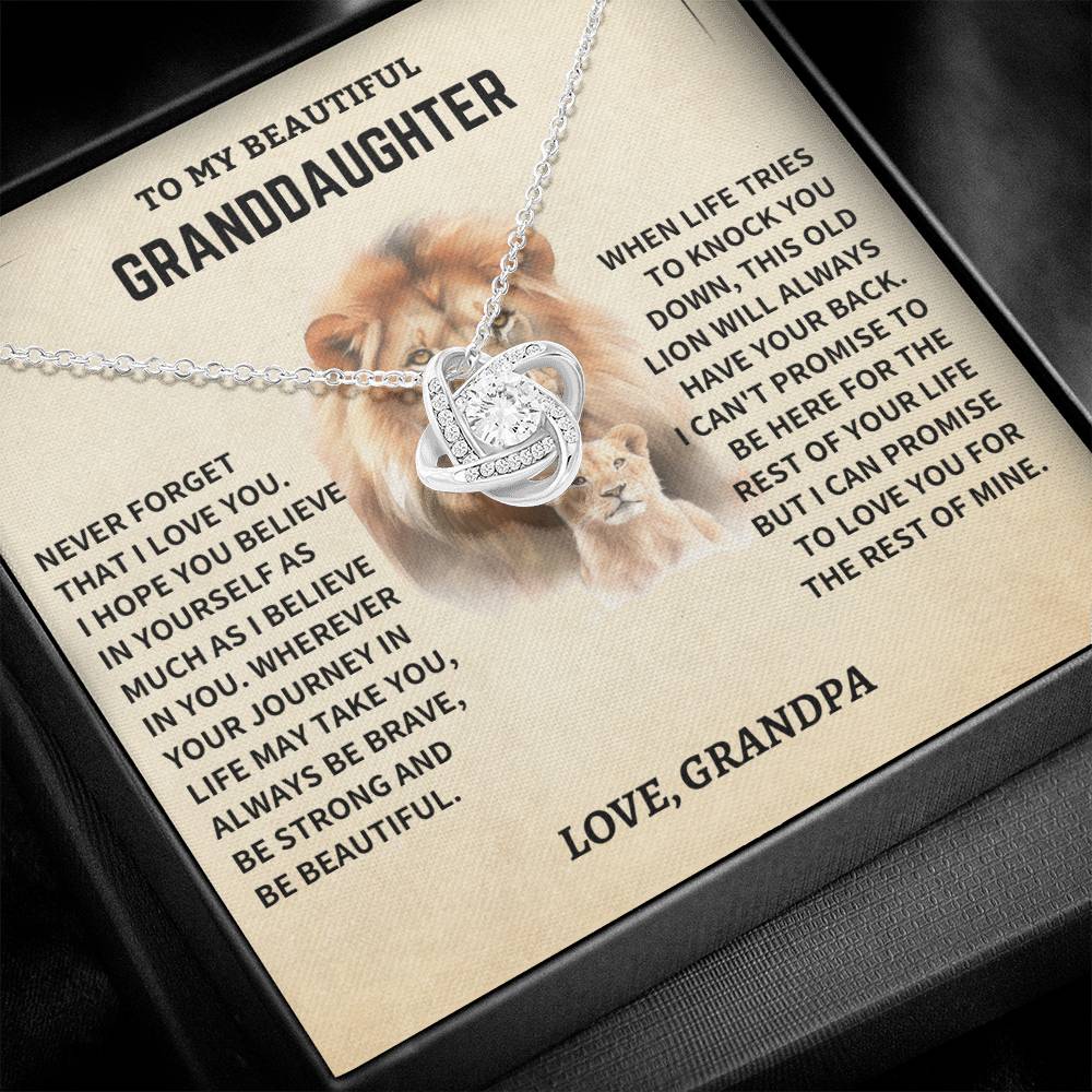 Gift For Granddaughter From Grandpa, "Never Forget How Much I Love You," Necklace - Image 4