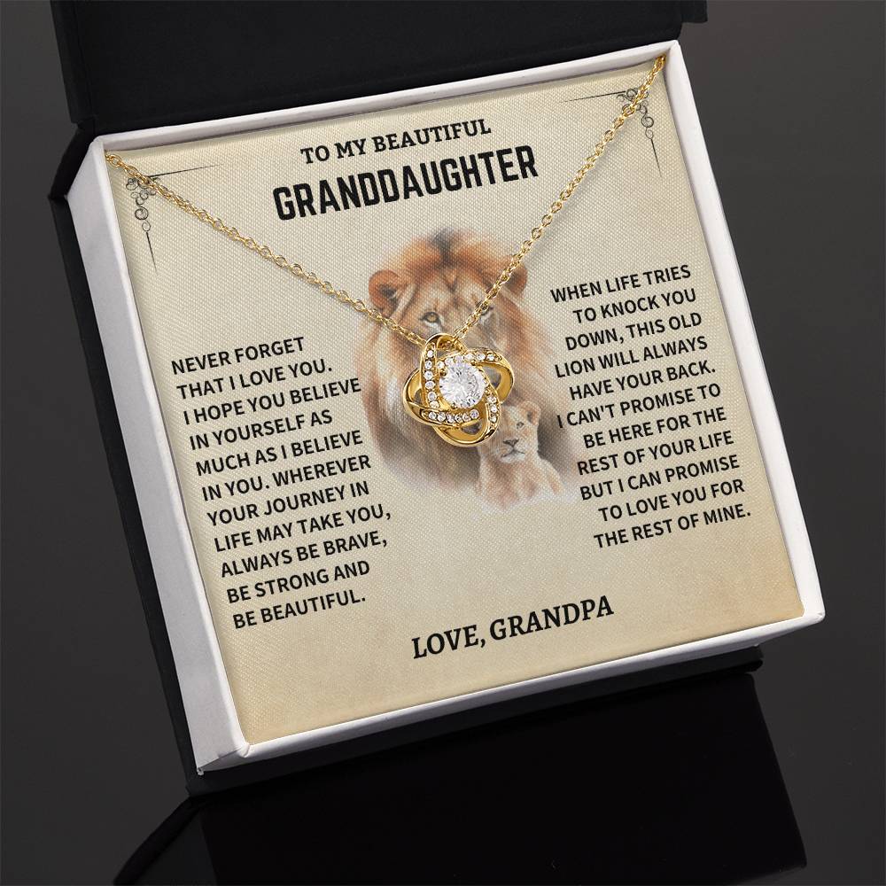 Gift For Granddaughter From Grandpa, "Never Forget How Much I Love You," Necklace - Image 7